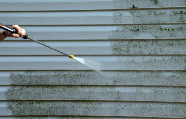 Best Roof Washing  in Bayou Cane, LA